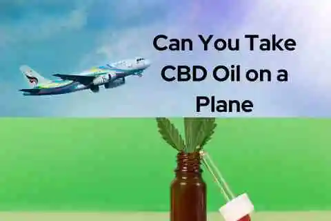 Can You Legally Travel with CBD Oil?