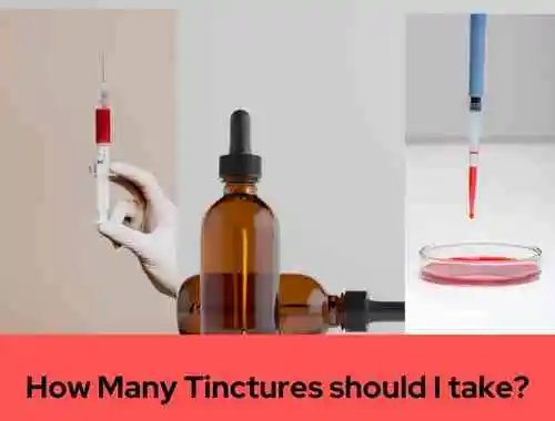 Tincture oil should I take