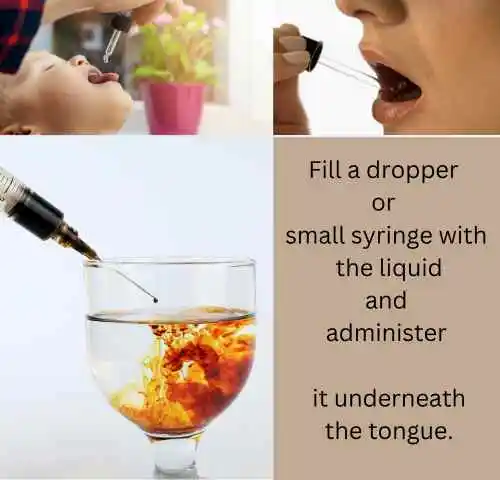How to Take Tincture