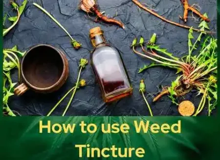 How To Use Weed Tincture