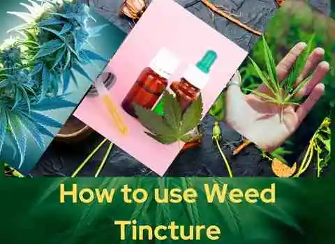 weed tincture