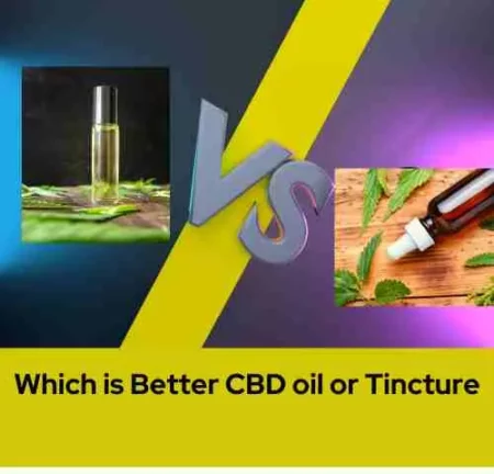 Which is Better CBD oil or Tincture