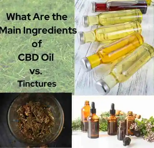 Ingredients of CBD Oil vs. Tinctures