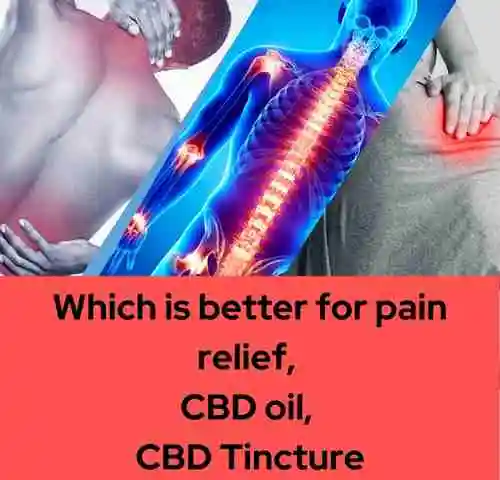 pain relief, CBD oil, or CBD Tincture
