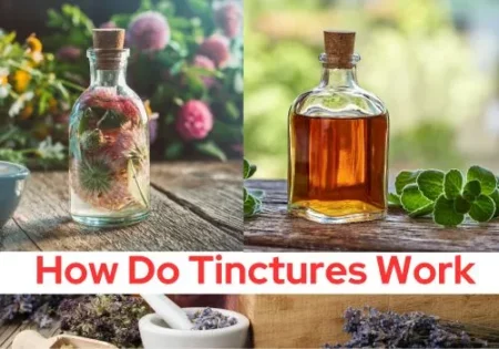 How Do Tinctures Work