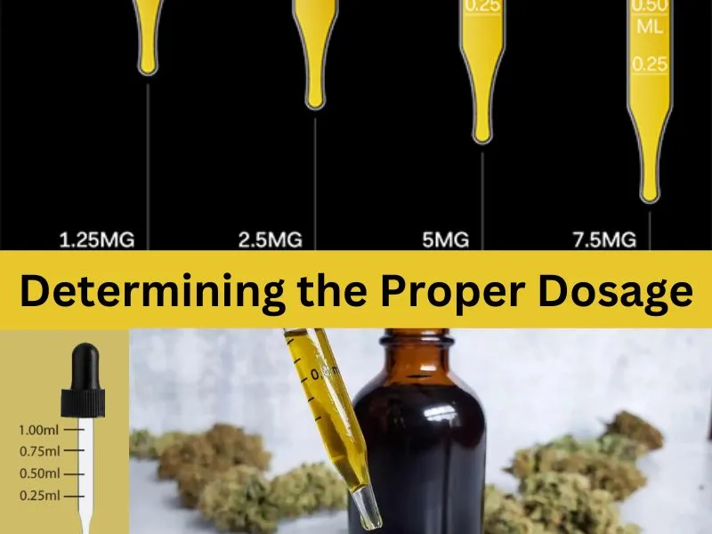 Dosage of tincture