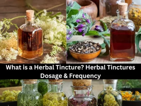 What is a Herbal Tincture? Herbal Tinctures Dosage & Frequency